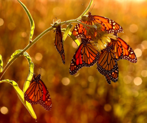 Illustrates our power to change things.