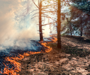 Illustrates our power to change things.