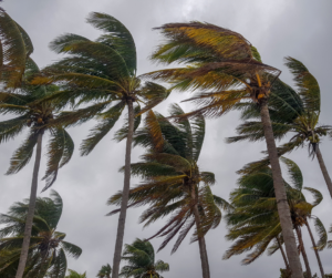 Illustrates our power to change things.