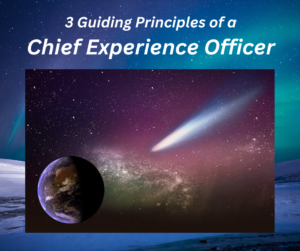 3 Guiding Principles Subheading