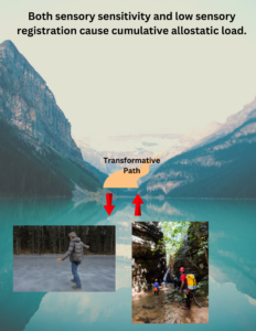 SPD Causes Cumulative Allostatic Load