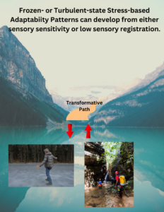 Developmental Trauma Therapy & SPD
