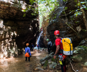 Healing Developmental Trauma Early in Life