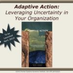human systems dynamics institute adaptive action book